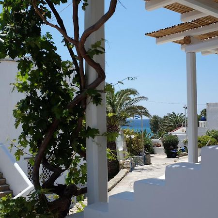 Ark Tinos Apartment Agios Ioannis  Luaran gambar