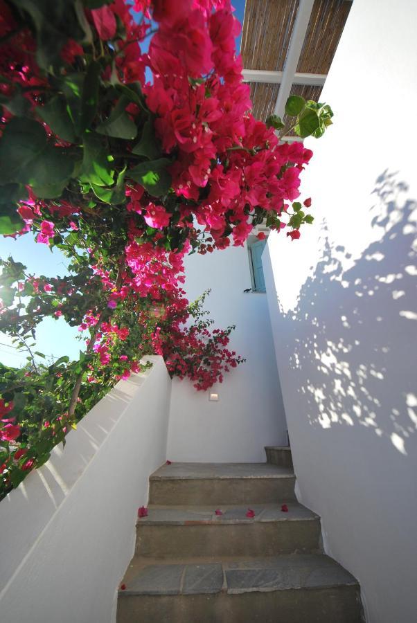 Ark Tinos Apartment Agios Ioannis  Luaran gambar