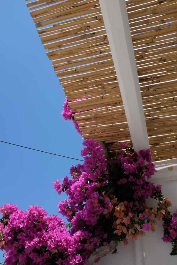 Ark Tinos Apartment Agios Ioannis  Luaran gambar