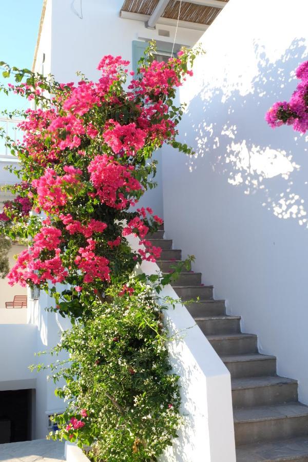 Ark Tinos Apartment Agios Ioannis  Luaran gambar